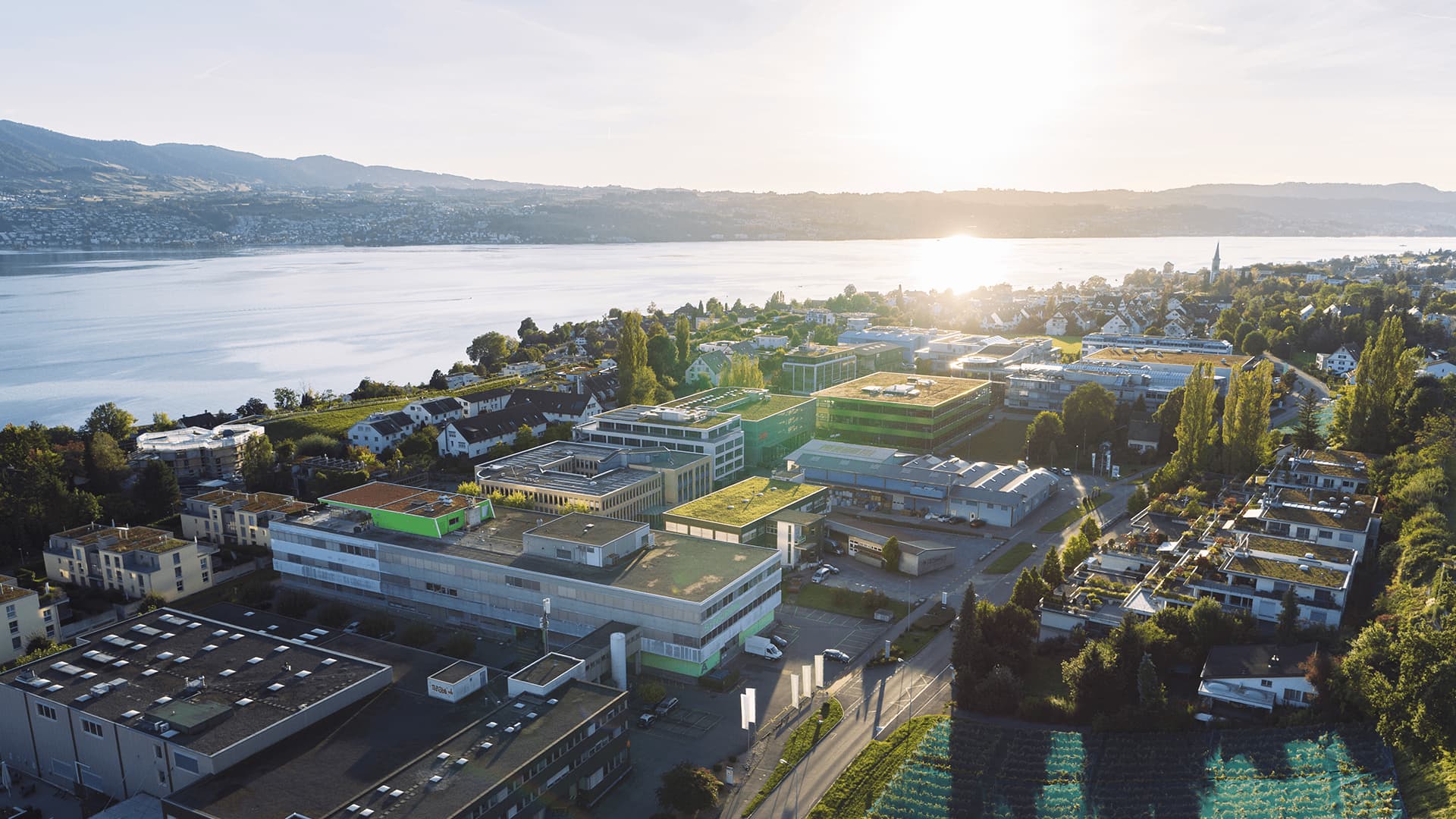 A glimpse inside our Hungarian office in Debrecen