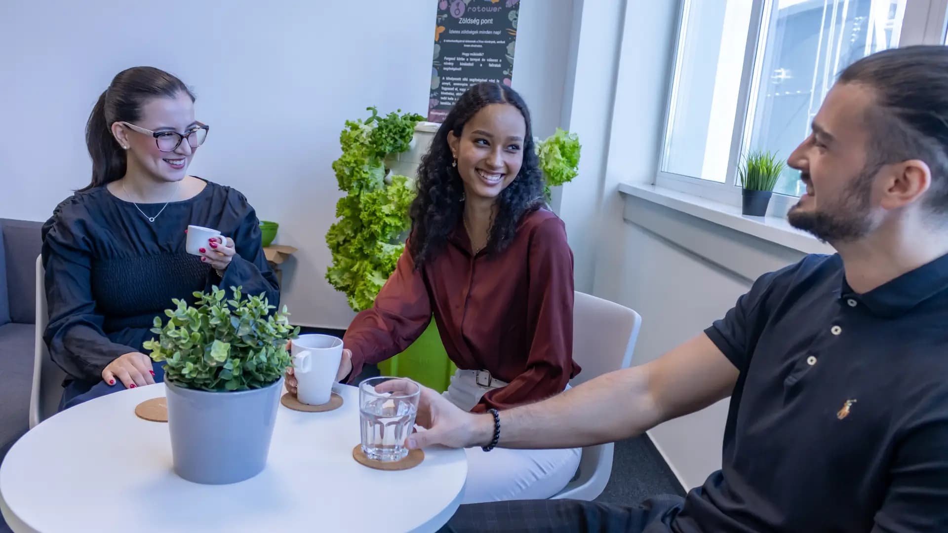 No alternate text provided