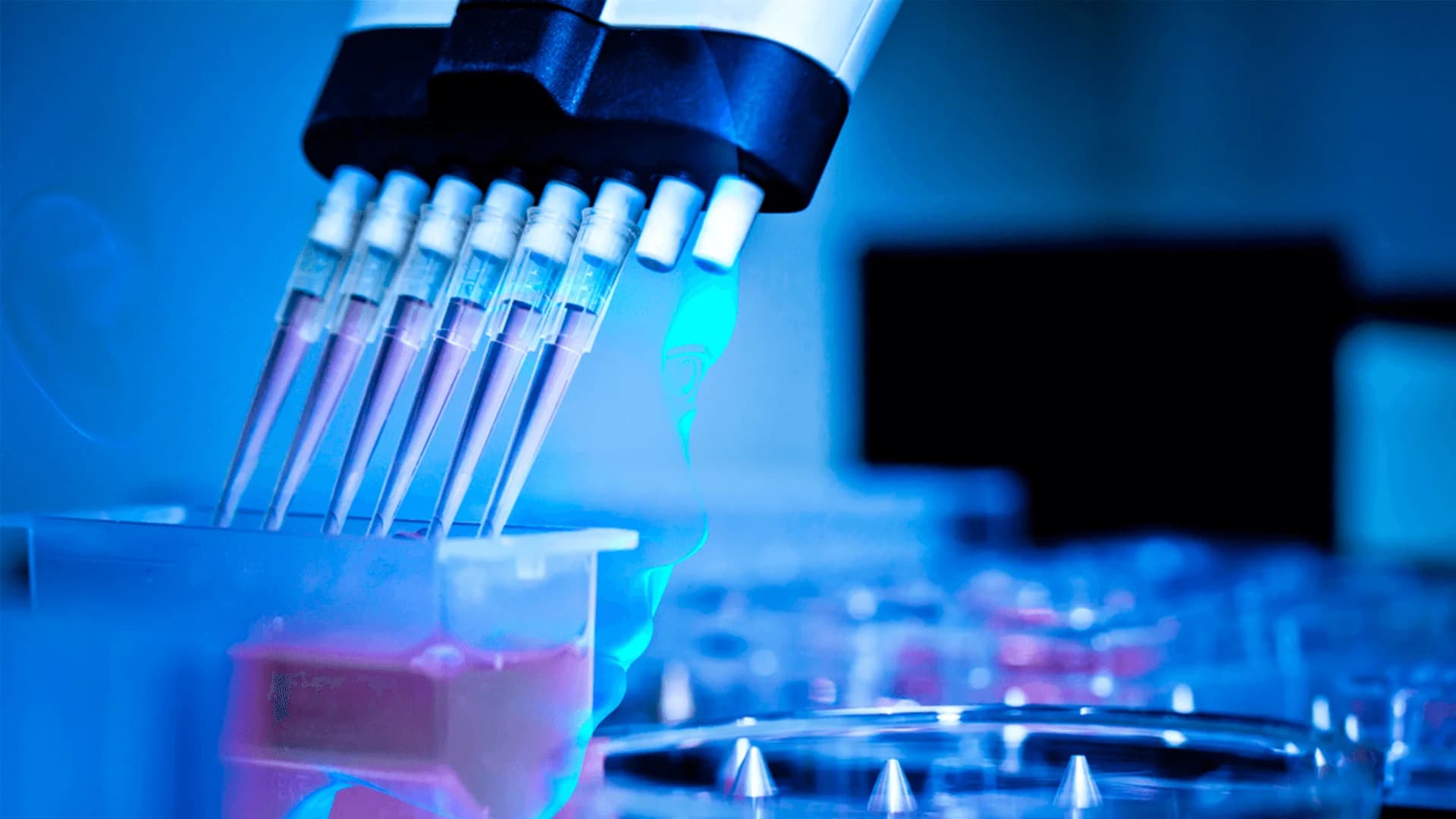 No alternate text provided