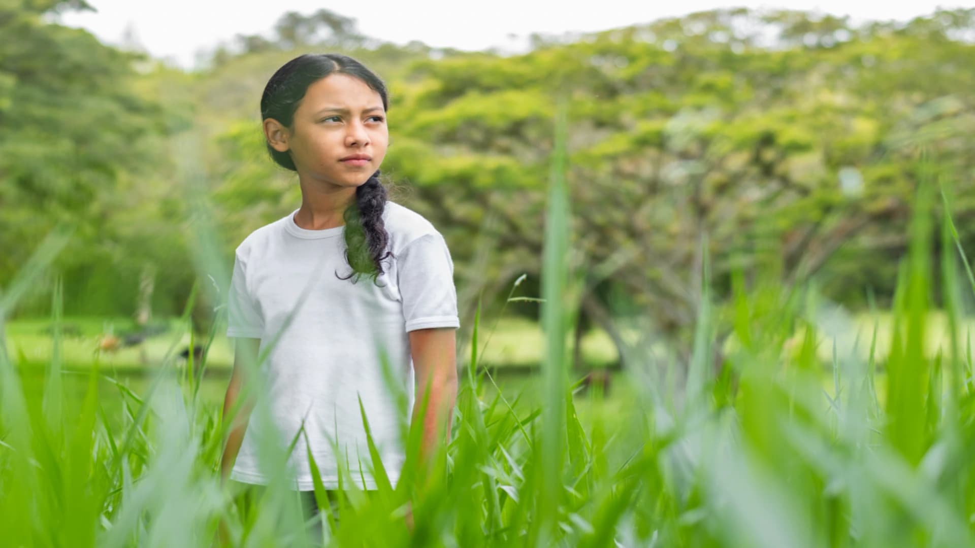 No alternate text provided