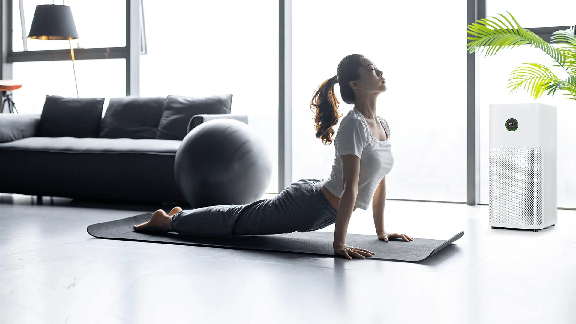 No alternate text provided