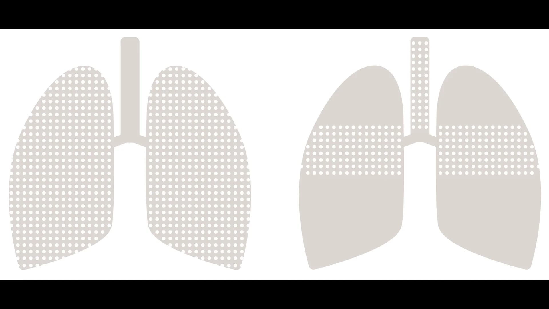 No alternate text provided