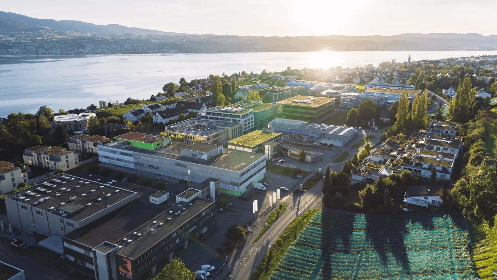 No alternate text provided