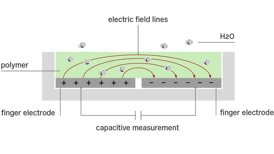 No alternate text provided