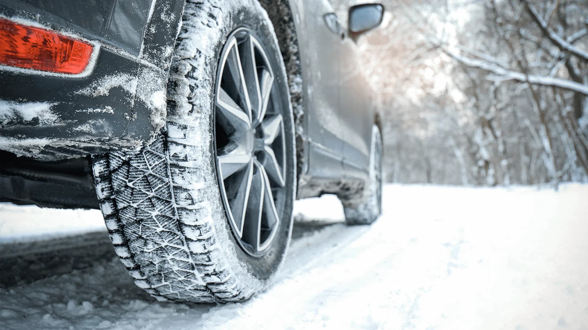 No alternate text provided