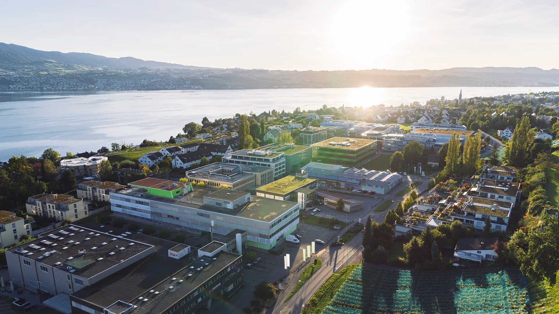 No alternate text provided